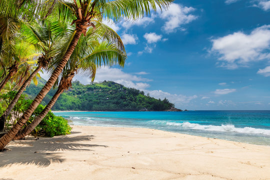Caribbean Islands